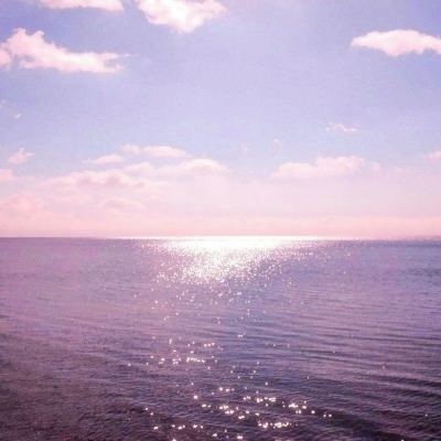 宝宝恐龙世界游戏下载